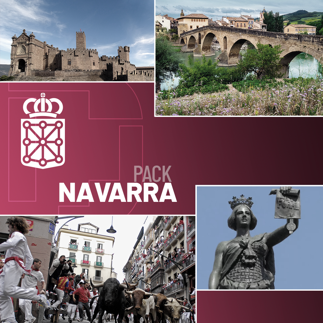 Pack Navarra www.docentesenred.com